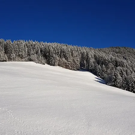 Schoental Maison d'hôtes 3*