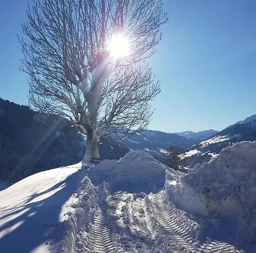 Schoental Pensión 3*