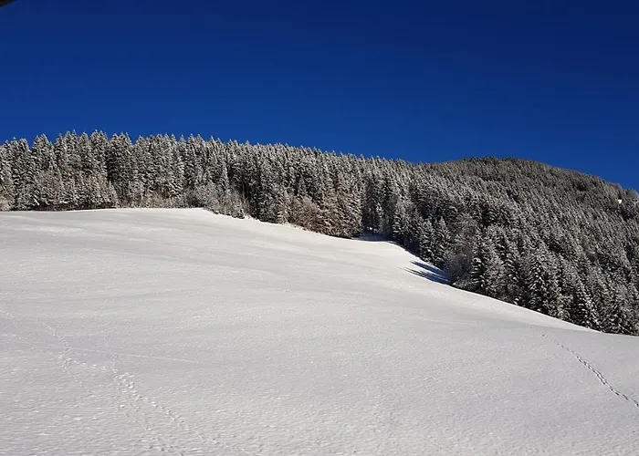 Schoental Pensión 3*