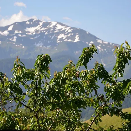 Schöntal