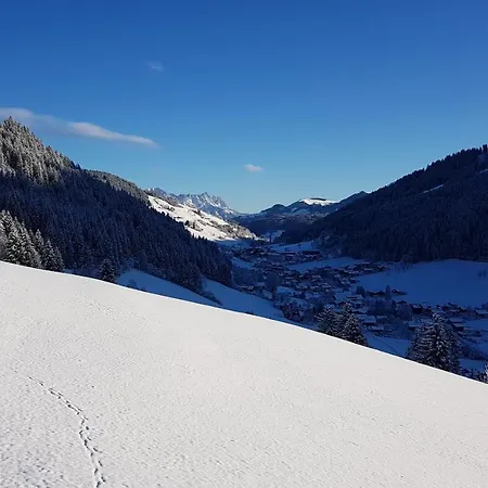 Schoental Konukevi 3*